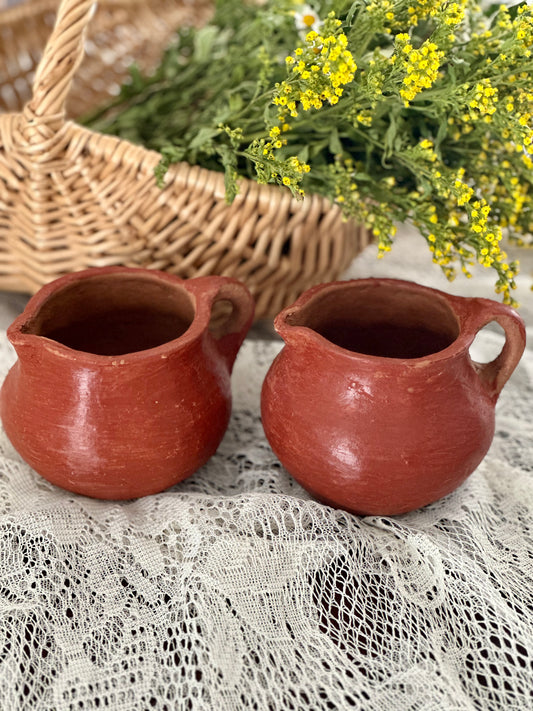 Rustic Clay flower mugs Set of 2