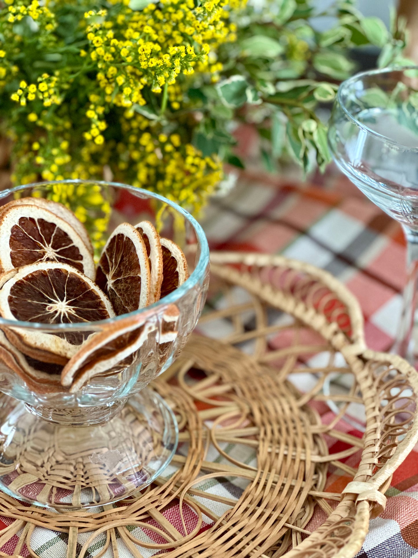 Glass Garnish Vessel w/ dried oranges