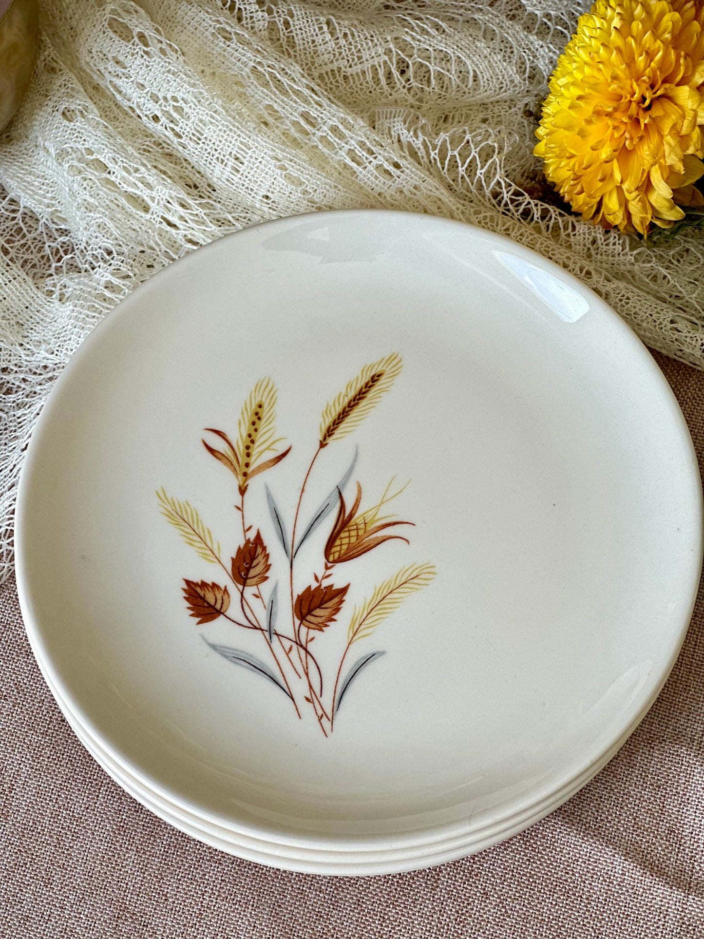 Vintage Taylor Smith & Taylor Autumn Harvest Salad Plates (set of 6)